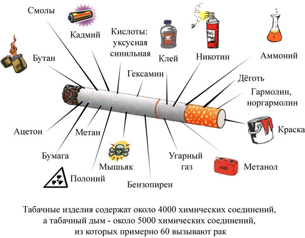 Из чего состоит сигарета?